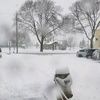 samstad